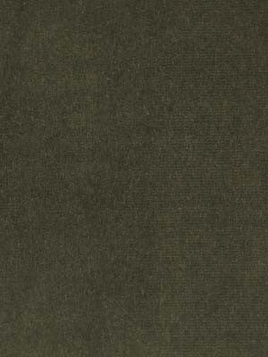 Beacon Hill Fabric 063849 Luxury Velvet Fern