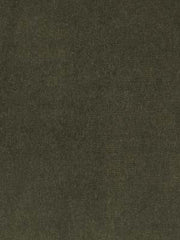 Beacon Hill Fabric 063849 Luxury Velvet Fern