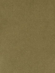 Beacon Hill Fabric 063862 Luxury Velvet Moss