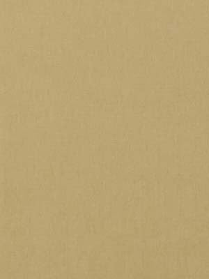 Beacon Hill Fabric 063882 Luxury Velvet Citrine