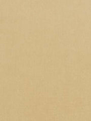 Beacon Hill Fabric 063890 Luxury Velvet Sand