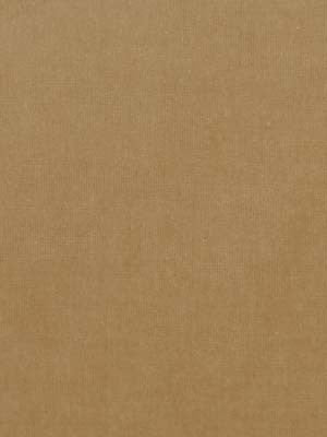 Beacon Hill Fabric 063891 Luxury Velvet Coin