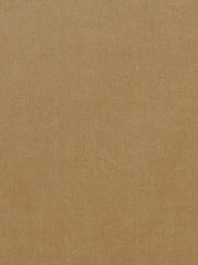 Beacon Hill Fabric 063891 Luxury Velvet Coin
