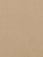 Beacon Hill Fabric 063892 Luxury Velvet Sandalwood