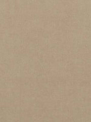 Beacon Hill Fabric 063894 Luxury Velvet Putty