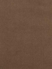 Beacon Hill Fabric 063899 Luxury Velvet Fawn