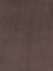 Beacon Hill Fabric 063902 Luxury Velvet Pumice
