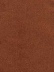 Beacon Hill Fabric 063988 Luxury Velvet Hazlenut