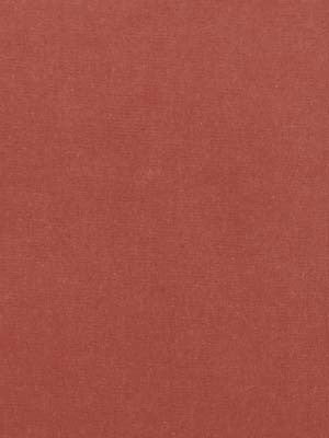 Beacon Hill Fabric 063995 Luxury Velvet Dark Apricot
