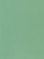 Robert Allen Fabric 065980 Kerala Seaglass