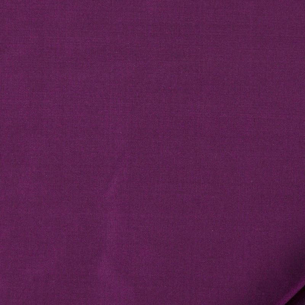 Robert Allen Fabric 065990 Kerala Aubergine