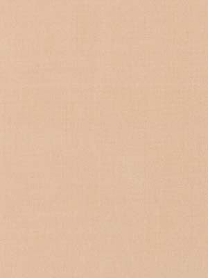 Robert Allen Fabric 066003 Kerala Peach