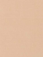 Robert Allen Fabric 066003 Kerala Peach