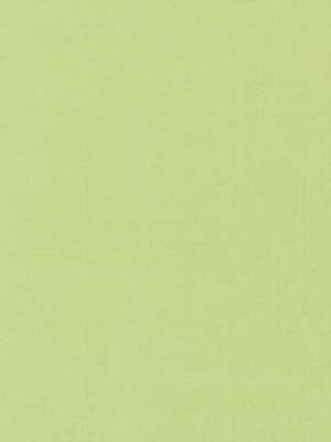 Robert Allen Fabric 066005 Kerala Greenapple