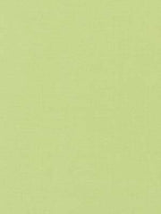 Robert Allen Fabric 066005 Kerala Greenapple