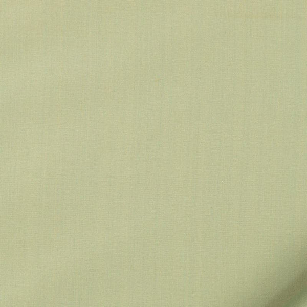 Robert Allen Fabric 066009 Kerala Silver Sage