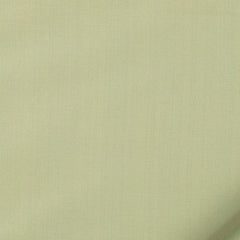 Robert Allen Fabric 066009 Kerala Silver Sage