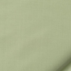 Robert Allen Fabric 066010 Kerala Misty Green