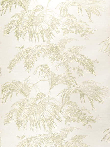 Stroheim Wallpaper 0660104 Palm Garden Sisal Green On Oyster