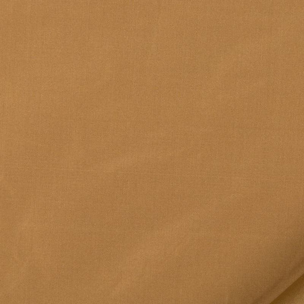 Robert Allen Fabric 066015 Kerala Praline
