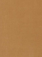 Robert Allen Fabric 066018 Kerala Nutmeg