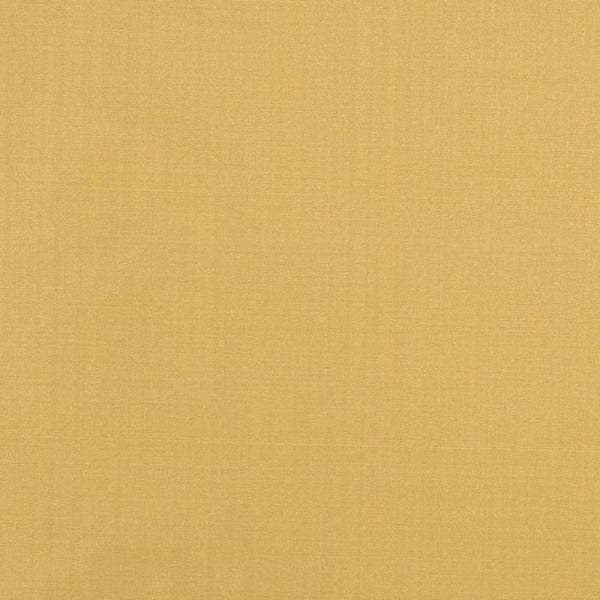 Robert Allen Fabric 066020 Kerala Mustard