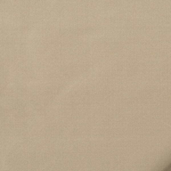 Robert Allen Fabric 066035 Kerala Fawn