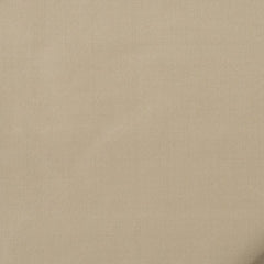 Robert Allen Fabric 066035 Kerala Fawn