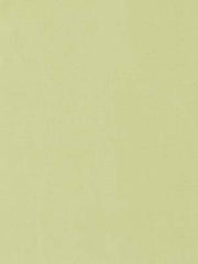 Robert Allen Fabric 066049 Kerala Pear