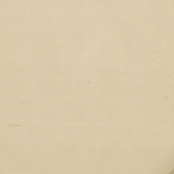 Robert Allen Fabric 066138 Allepey Pongee