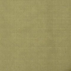 Robert Allen Fabric 066154 Allepey Avocado