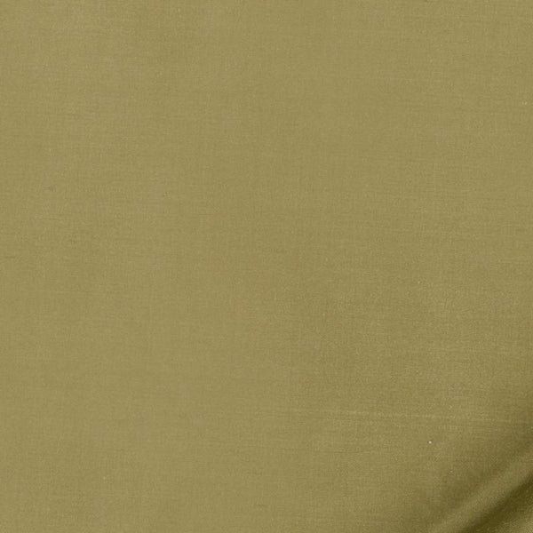 Robert Allen Fabric 066156 Allepey Cypress