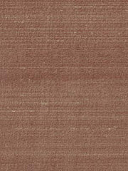 Robert Allen Fabric 066199 Allepey Hazelnut