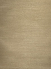 Stroheim Wallpaper 0664103 Saipan Sisal Olive