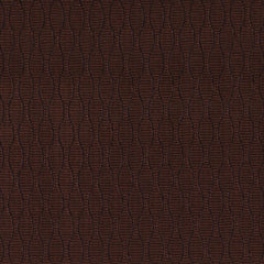 Robert Allen Fabric 066928 Riverbend Raisin
