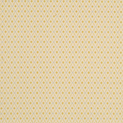 Beacon Hill Fabric 068738 Elegant Trelis Golden Blue