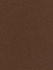 Robert Allen Fabric 080210 Stetson Mink