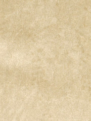 Robert Allen Fabric 080321 Moonlight Sesame