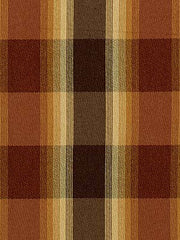 Robert Allen Fabric 080379 Burnett Mink