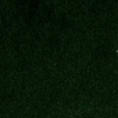Duralee Fabric 15278-321 Pine