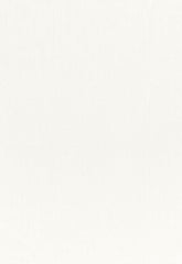 FSchumacher Fabric 1564010 Blaine Natural