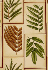 FSchumacher Fabric 173500 Montserrat Leaf Sepia