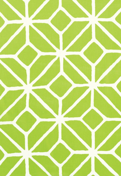FSchumacher Fabric 174234 Trellis Print Apple