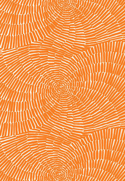 FSchumacher Fabric 174241 Sonriza Print Orange