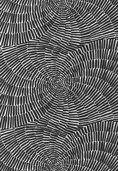 FSchumacher Fabric 174243 Sonriza Print Black