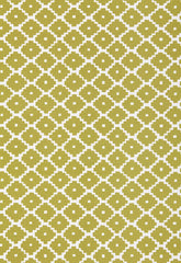 FSchumacher Fabric 174483 Ziggurat Chartreuse
