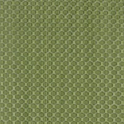 HC Monogram Fabric 190050H-399 Reese Pistachio
