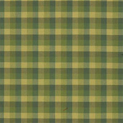 Lee Jofa Fabric 2000233.3 Carousel Check Ivy