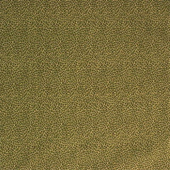 Lee Jofa Fabric 2004055.30 Durbar Leopard Moss