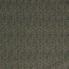 Lee Jofa Fabric 2004055.5 Durbar Leopard Imperia